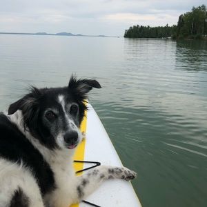 Meet your Posher, Kim